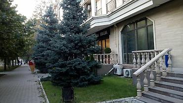 кокум бий: 4 комнаты, Золотой квадрат Риэлтор, Без животных, от 1 года, С мебелью полностью — 9