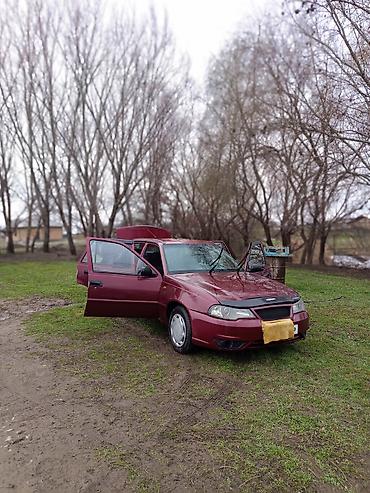 Daewoo: Daewoo Nexia: 2010 г., Седан — 10