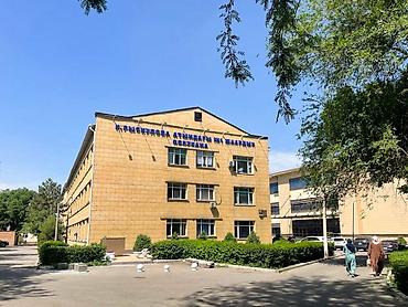 Продажа квартир: 1 комната, 19 м², Малосемейка, 2 этаж, Евроремонт — 11