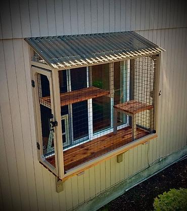 Pəncərə üçün “catio” – pişiklər üçün açıq, təhlükəsiz balkon-kafes -
