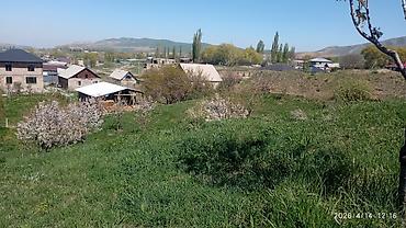 Долгосрочная аренда домов: 220 м², 6 комнат — 18