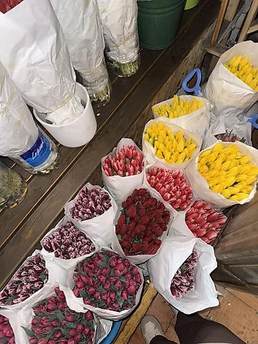 Букеты из живых цветов: Тюльпаны срезанные — оптом и в букетах - Ассортимент цветов: жёлтые at lalafo.kg — 1 Букеты из живых цветов: Тюльпаны срезанные — оптом и в букетах - Ассортимент цветов: жёлтые — 1