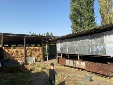 Продажа домов: Дом, 120 м², 5 комнат, Собственник at lalafo.kg — 3 Продажа домов: Дом, 120 м², 5 комнат, Собственник — 3