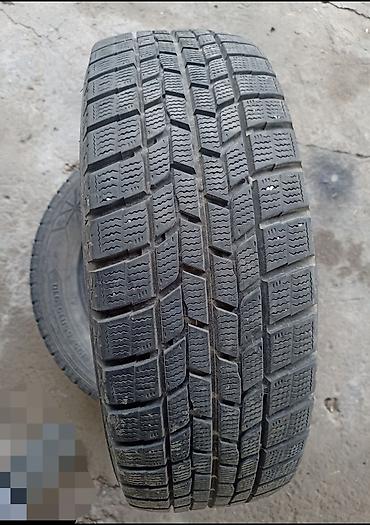 r19 kia: Шины 195 / 65 / R 15, Зима, Б/у, Пара, Легковые, GoodYear — 1