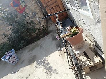 Dağ velosipedləri: Arxa teker Patricia kamer lazimdi 3 manatdi kamer bide tormuzu yoxdu — 4