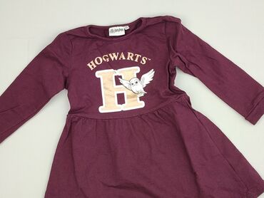 srebrna sukienka h: Dress, Harry Potter, 5-6 years, 110-116 cm, condition - Very good