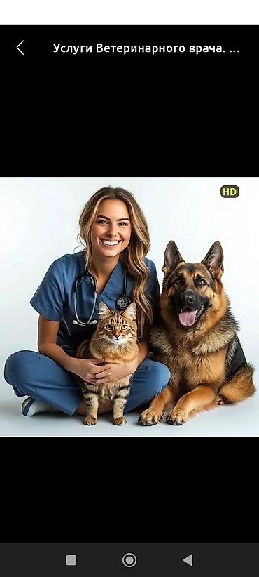 Усыпление кошек и собак службы 24/7 когда лечение больше не помогает и