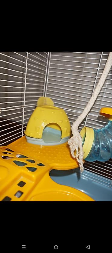 Зоотовары: Dəbilqəli hamster üçün çoxmərtəbəli qəfəs dəsti - Rənglər: açıq mavi — 2
