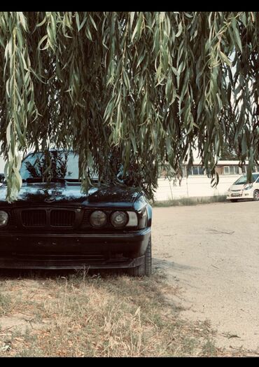 мотор гая: BMW 5 series: 1995 г., 3 л, Механика, Бензин, Седан