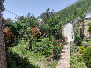 Günlük kirayə evlər: 125 kv. m, 4 otaqlı, Su, Qaz, İşıq — 5