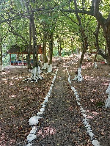Günlük kirayə evlər: Masalli rayonu. İsti su istirahet merkezine yaxin. Turan restoranina — 12