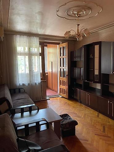 studio menziller: Şəhərin mərkəzində, Kooperasiya Universitetinin yaxınlığında, parkın — 2