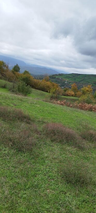 купить дом в кубе: 67 соток, Для сельского хозяйства, Риэлторам не беспокоить, Купчая