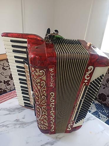 музык: Аккордеон Horch (Германия), классическая клавишная модель — 2