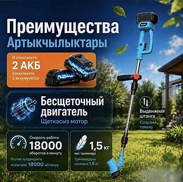 поростер: Аккумуляторный садовый триммер Grass Killer с 2 аккумуляторами — — 6