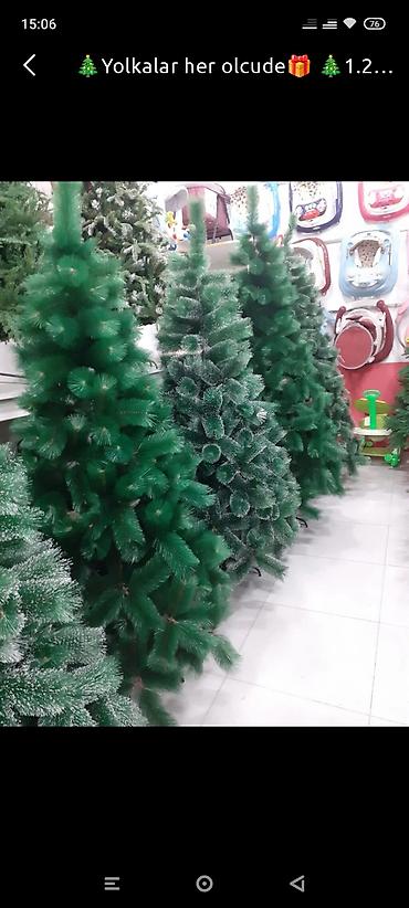 qar adami: Sifarisle eve getiririk Çatdırılma pulsuz whatsapp aktivdir 🌲🌲🌲90sm — 1