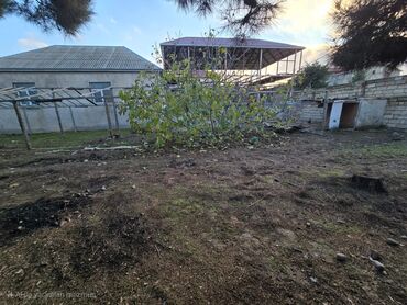 Torpaq sahələrinin satışı: 100 sot, Kənd təsərrüfatı, Mülkiyyətçi, Kupça (Çıxarış) — 5