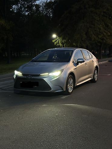 Toyota: Toyota Levin: 2020 г., 1.8 л, Вариатор, Гибрид, Седан — 1