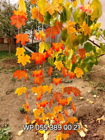 Digər ev dekoru: Asma Payız yarpaqları / material süni yarpaqlar. 15 azn (10 ədəd asma — 1