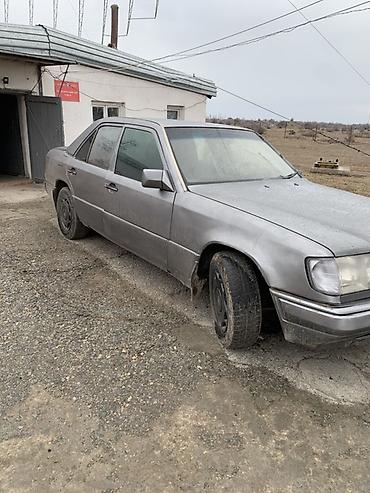 Mercedes-Benz: Mercedes-Benz W124: 1992 г., 3 л, Механика, Дизель, Седан — 3