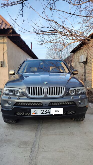 BMW: BMW X5: 2006 г., 3 л, Автомат, Бензин, Внедорожник