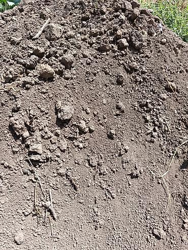 java sabbia: Продается качественный природный чернозем. Земля богата гумусом — 1