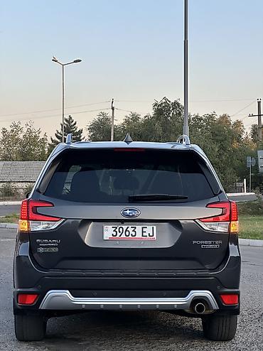 тайота форестер: Subaru Forester: 2022 г., 2.5 л, Вариатор, Бензин, Кроссовер — 3