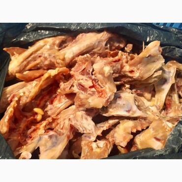 морская рыба: Продаю куриные кости каркасы спинки 40 сом за кг продаю оптом 
Тел