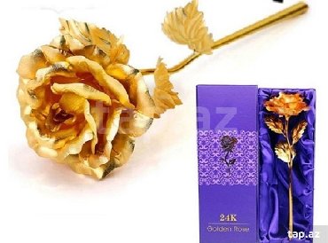golden retriver v Azərbaycan | İTLƏR: Golden Rose" suveniri-hediyye-ucun-eladir
