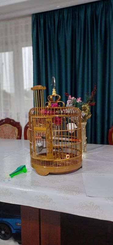 клетка для попугаев неразлучников: Продаю срочно новую клетку для попугаев и других птиц например
