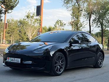 byd e6: Tesla Model 3: 2023 г., 0.1 л, Автомат, Электромобиль, Лифтбек — 2
