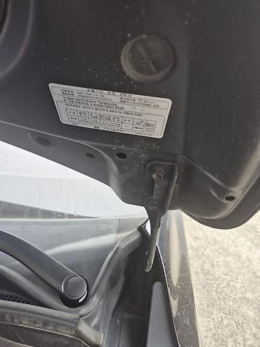 Kia: Kia Carnival: 2019 г., 2.2 л, Дизель — 28