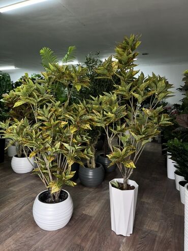 Декоративные цветы: Искусственные деревья — это идеальное решение для оформления интерьера at lalafo.kg — 16 Декоративные цветы: Искусственные деревья — это идеальное решение для оформления интерьера — 16