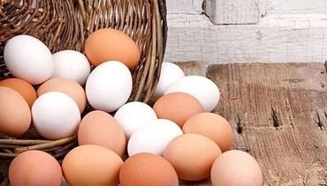 Yumurta: Salam ev yumurtası satılır 25 qəpiyə ünvan Kürdexanı kəndi