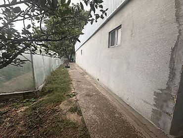 Продажа коттеджей и домов: 3 комнаты, 68 м², 8 соток, Орловка, Собственник — 17