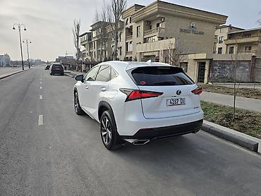 Lexus: Lexus NX: 2019 г., 2 л, Автомат, Бензин, Кроссовер — 6