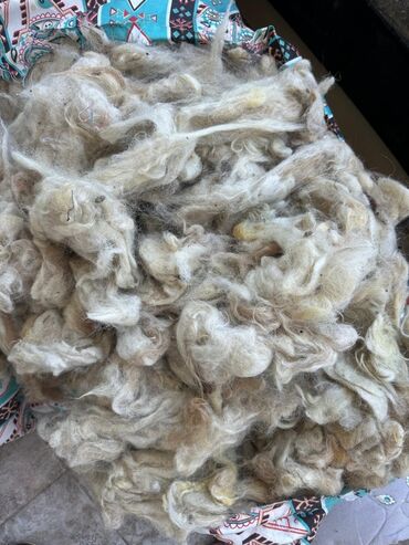 светодиодная лента купить в баку: Yeni Yataq örtüyü