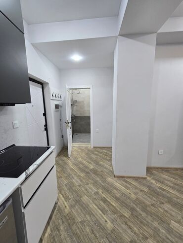 Mənzil kirayələyirəm: Studiya, 46 kv. m — 6