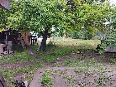по советской: Продаю дом находится Ново-Павловке, ориентир ул. Советская пересекает — 6