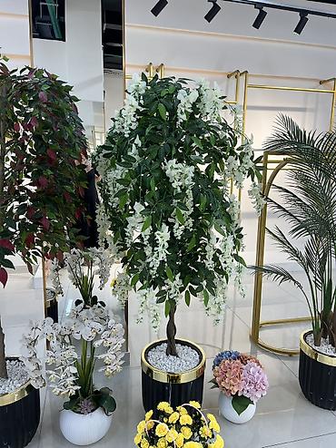 Оборудование для бизнеса: Келишим баада кылып беребиз — 1
