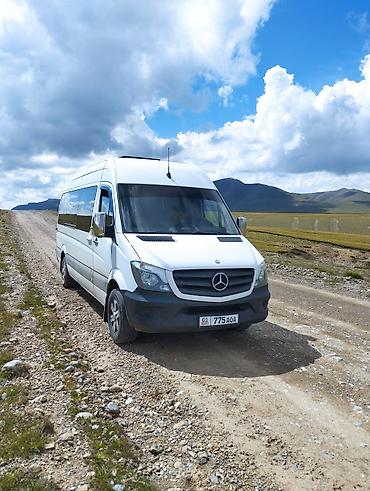 ремонт кулеров бишкек: Бус на заказ Mercedes-Benz Sprinter (длинная база, высокая крыша) — — 1