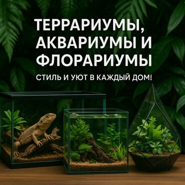 терморегулятор для инкубатора: Террариумы, аквариумы, флорариумы изготовление под заказ любой дизайн