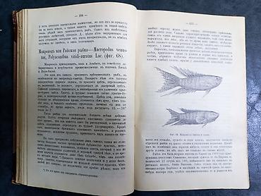 Редкая антикварная книга 1890 г. Название: «Акваріумъ любителя lalafo.az -da — 6 Редкая антикварная книга 1890 г. Название: «Акваріумъ любителя — 6