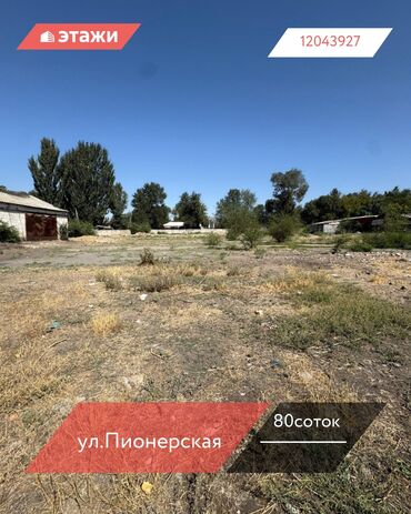 южный берег иссык куля: 80 соток