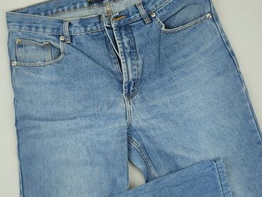 spodnie jeans bershka: Jeans, 5XL (EU 50), condition - Very good