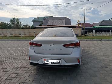 hyundai inspire: Hyundai Sonata: 2019 г., 2 л, Автомат, Газ, Седан — 2
