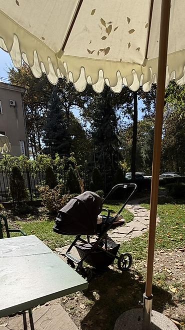 easywalker charley: Детская коляска прогулочная Carrlello Alfa Подходит для — 3