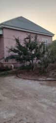 Şlanqlar: Binə sovxozda, Qala küçəsində 5 sot torpaq sahəsində 2 ev satılır — 11