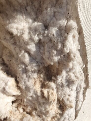 текстиль для дома: Линт хлопковый из Туркмении, в наличии 2000 тн. Оптом. 500₽ за кг