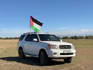 Toyota: Toyota Sequoia: 2004 г., 4.7 л, Автомат, Газ, Внедорожник — 19
